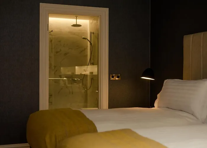 Premier Dublin, Leeson Street شقة