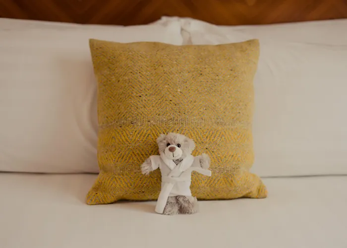 Premier Dublin, Leeson Street *